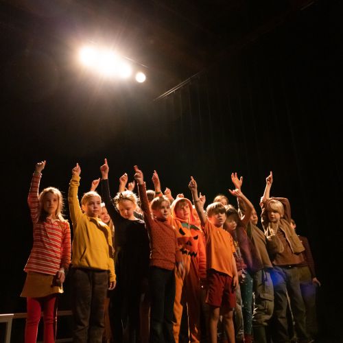 Workshop theater: herfstwerkplaats – Laken, ladder, actie! - 