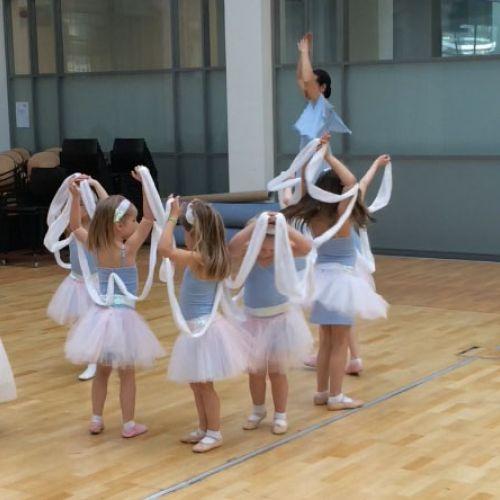 Workshop dans Klassiek Ballet - 